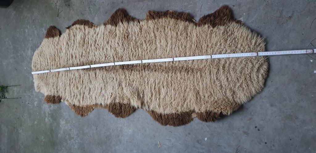 Dierenvacht tapijt, Ophalen of Verzenden, Gebruikt