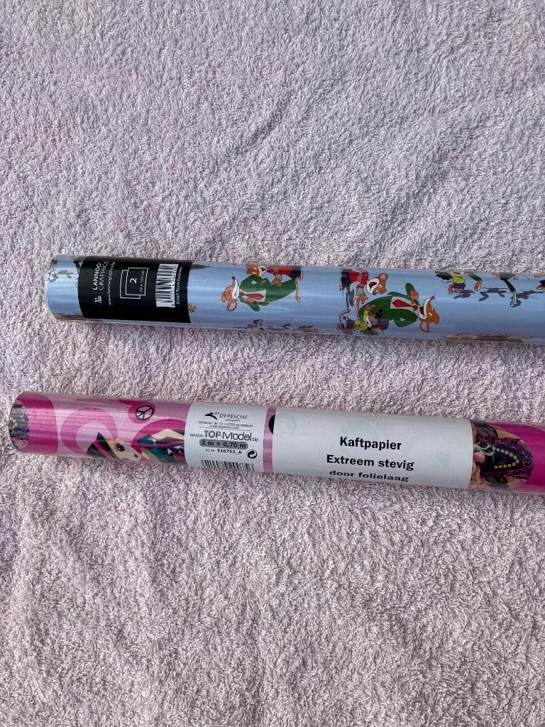 Kaftpapier Lannoo Geronimo Stilton Depesche Top Model papier, Ophalen of Verzenden, Nieuw, Lannoo, Fictie algemeen