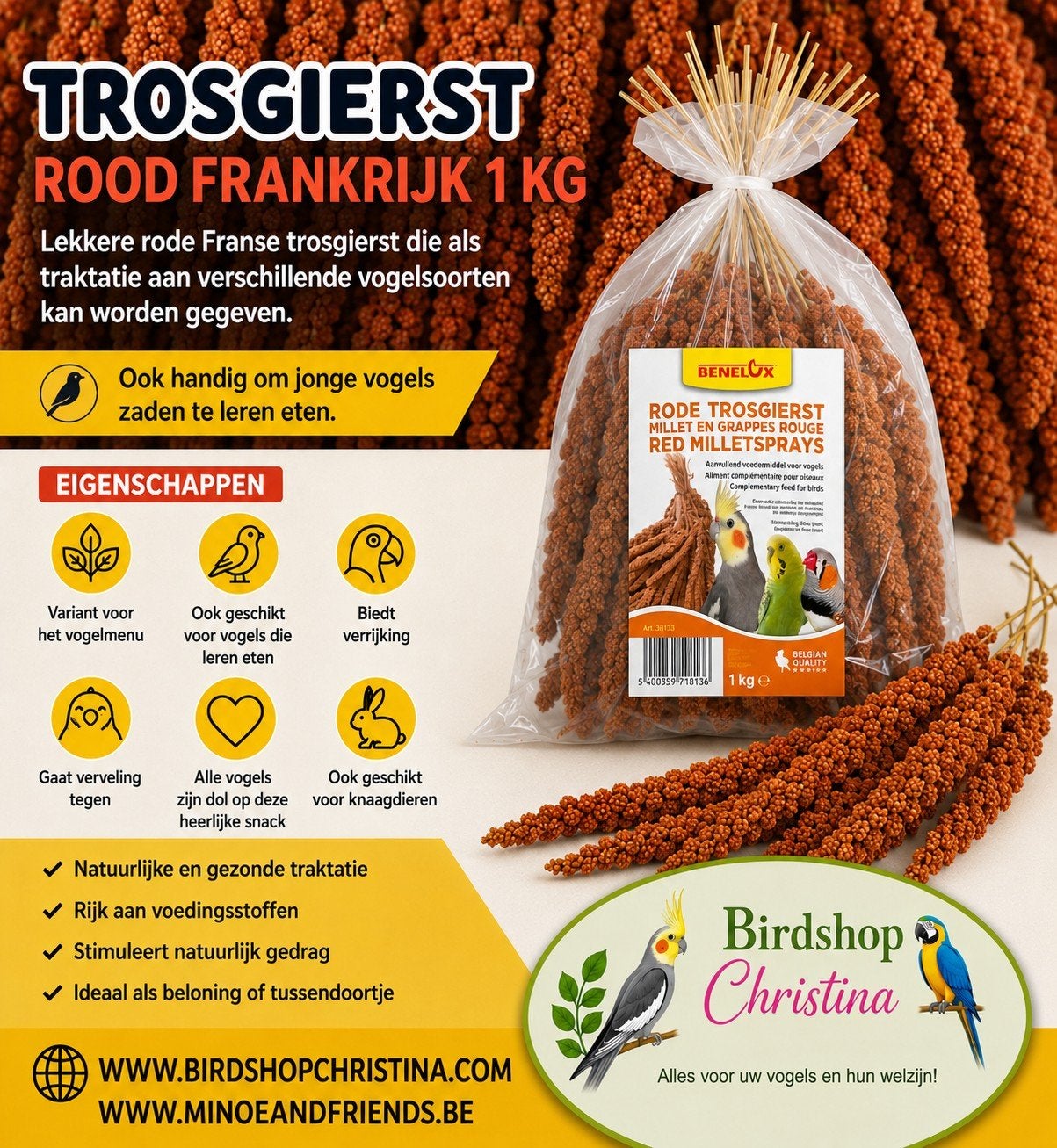 Millet rouge France 1kg - Boutique et boutique en ligne, Animaux & Accessoires, Oiseaux | Accessoires, Enlèvement