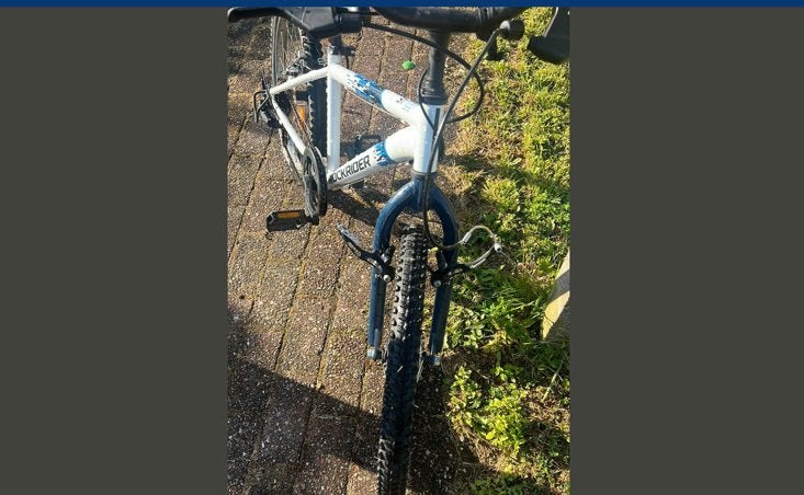 Moutenbike ROCKRIDER | IN GOEDESTAAT 20€, Fietsen en Brommers, Ophalen, Zo goed als nieuw