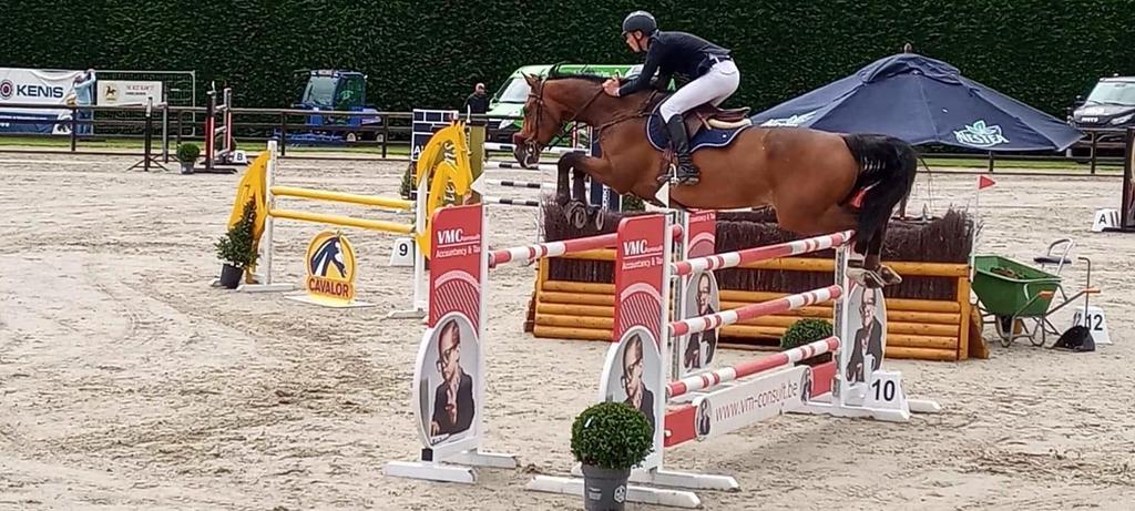 Springpaard, Tickets & Billets, Loisirs | Autre