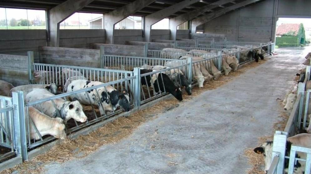 Écurie, ferme, ferme,... demandé