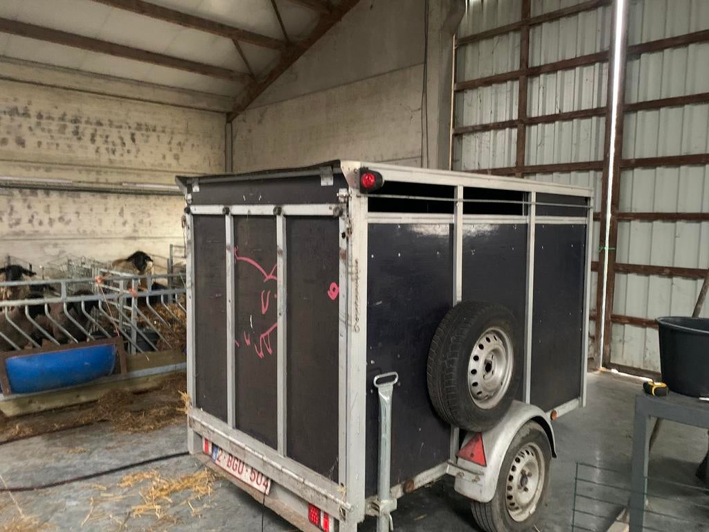 veetrailer aanhangwagen schapen, remork kleinvee, Ophalen, Gebruikt