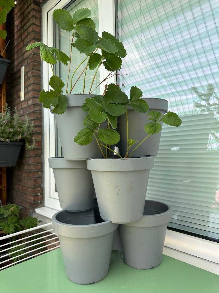 stapelbare plantenbakken, Ophalen, Kunststof, Gebruikt, Minder dan 60 cm