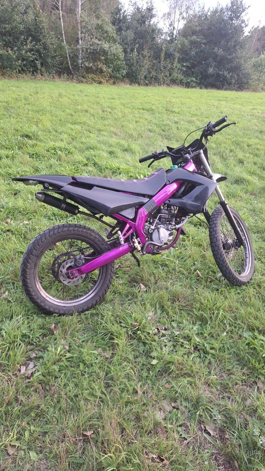 Derbi sr 2003, Enlèvement, Utilisé, 50 cm³, Classe B (45 km/h)
