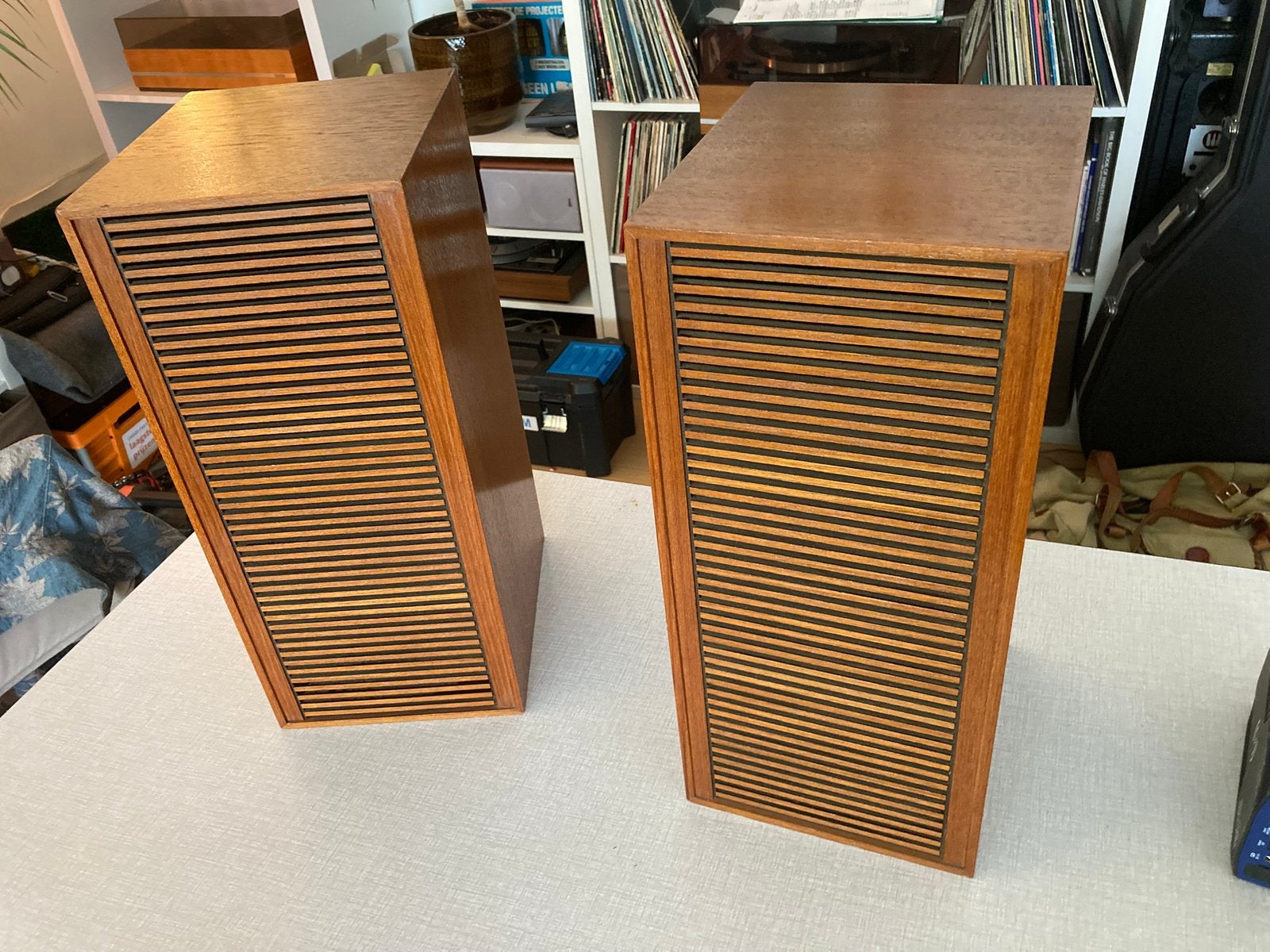Grundig Hifi-Lautsprecherbox-300, Audio, Tv en Foto, Luidsprekerboxen, Ophalen, Zo goed als nieuw