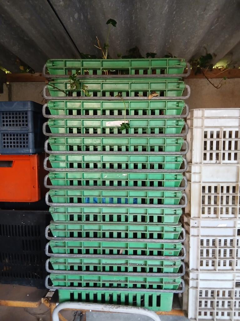 Groene stapelkratten 16st, Doe-het-zelf en Bouw, Kratten en Dozen, Ophalen