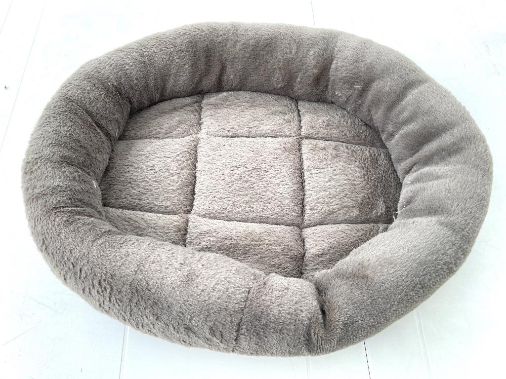 panier pour chat ou petit chien, Ophalen of Verzenden, Gebruikt