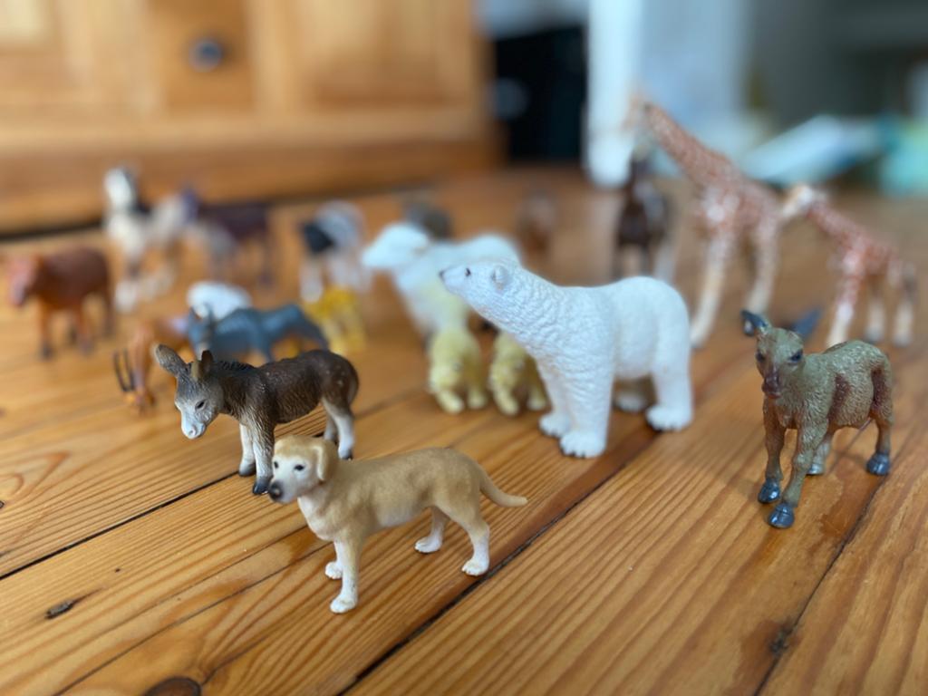 Beesten in goede staat, Verzamelen, Dierenverzamelingen, Ophalen, Zo goed als nieuw