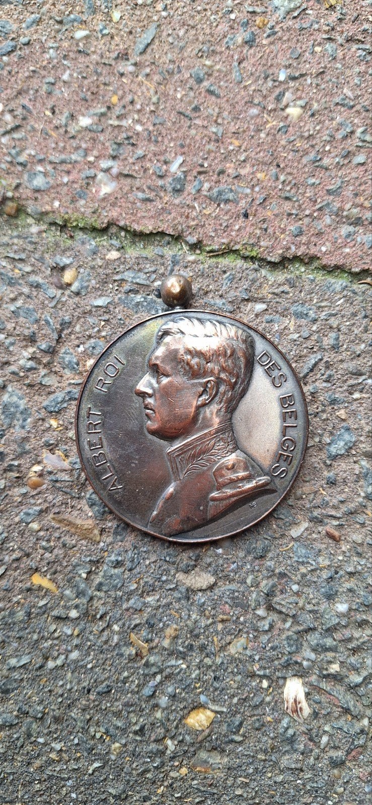 Médaille 6, Collections, Enlèvement
