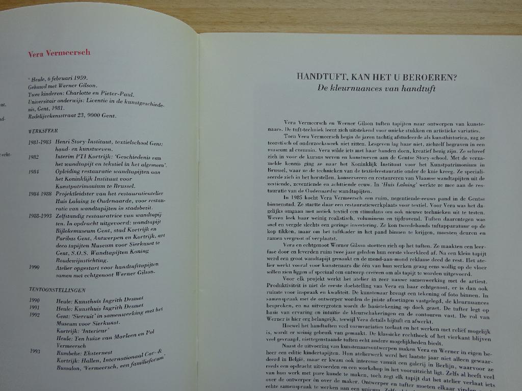 De familie Vermeersch 1993, een familieforum, Kortrijk, Ophalen of Verzenden, Gelezen, Schilder- en Tekenkunst