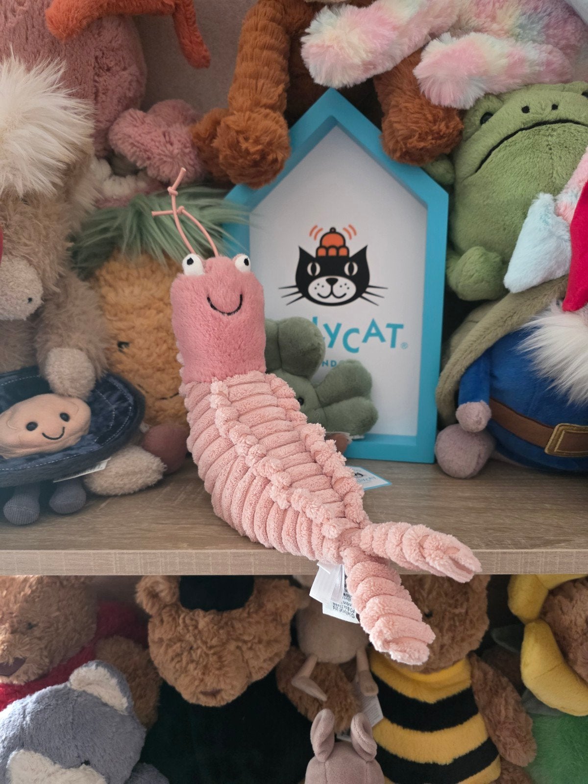 crevettes Jellycat Sheldon, Enlèvement ou Envoi, Jellycat