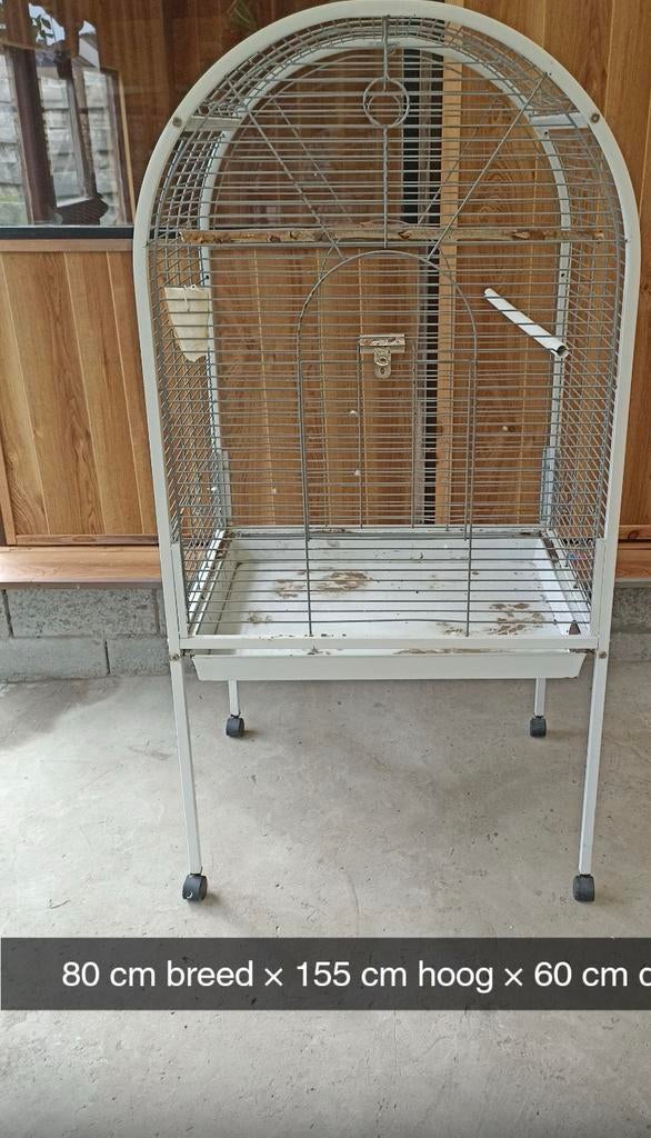 Kooien te koop!, Ophalen, Kooi, Zo goed als nieuw, Hamster