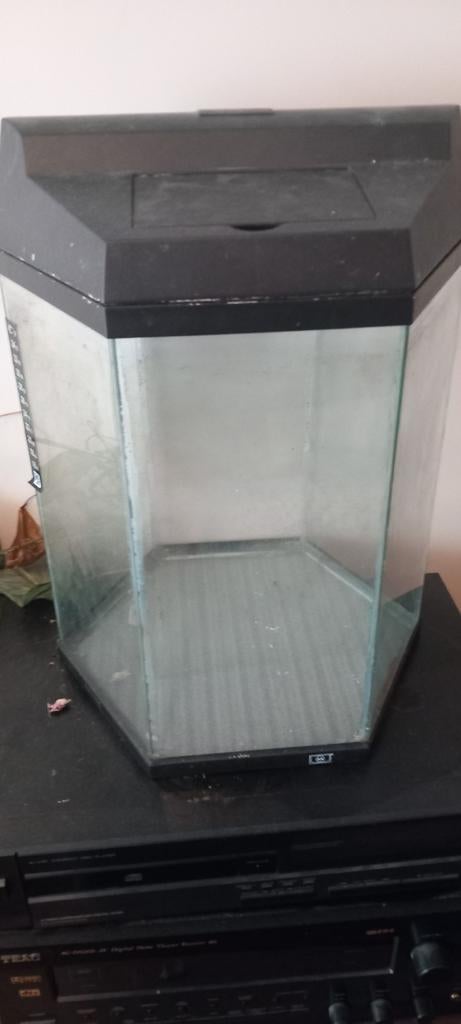 Kleine aquarium, Enlèvement