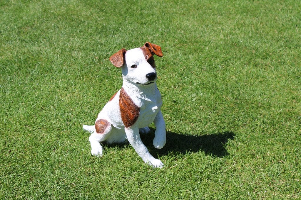 JACK RUSSELL hondenbeeld wit rood, Tuin en Terras, Tuinbeelden, Ophalen, Nieuw, Kunststof, Dierenbeeld