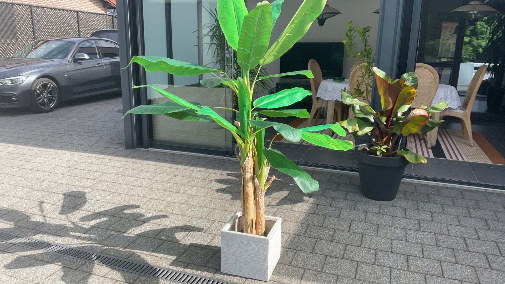 Bananenplant, Enlèvement, Synthétique