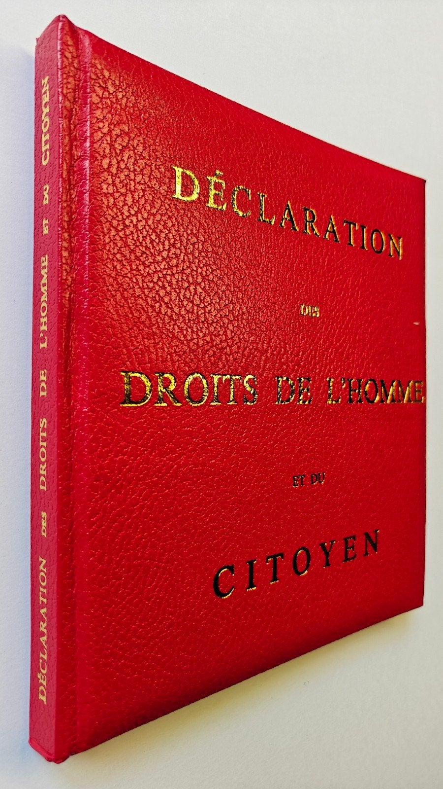 Déclaration des droits de l'homme et du citoyen/1980, Enlèvement ou Envoi