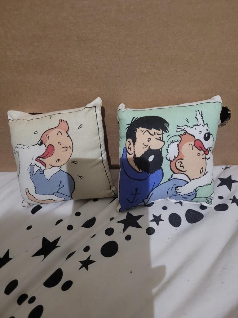 2 petits coussins de Tintin, Enlèvement