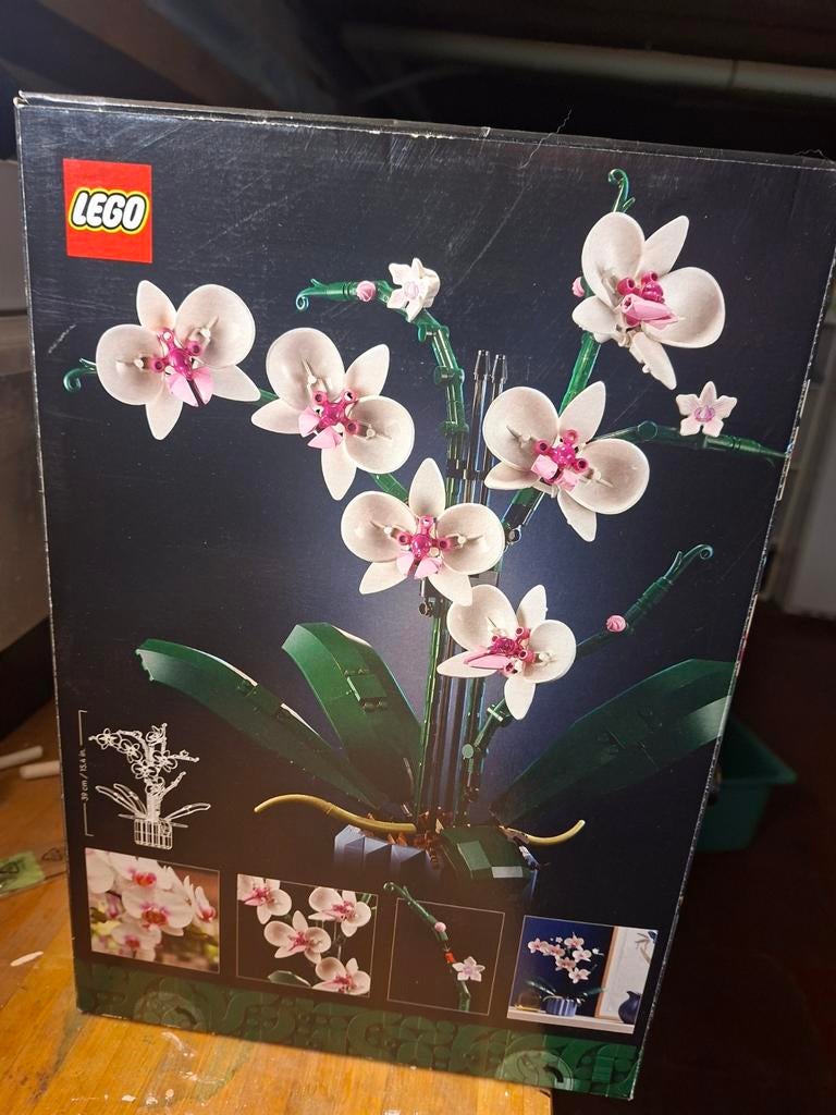 LEGO Icons Botanische Collectie Orchidee (10311) set, Ophalen, Lego, Icons