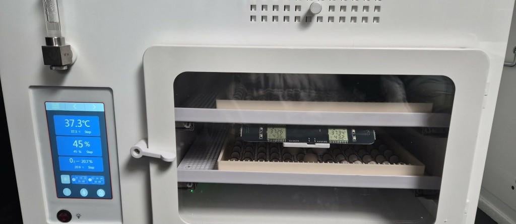 Incubateur, Enlèvement, Neuf, Couveuse