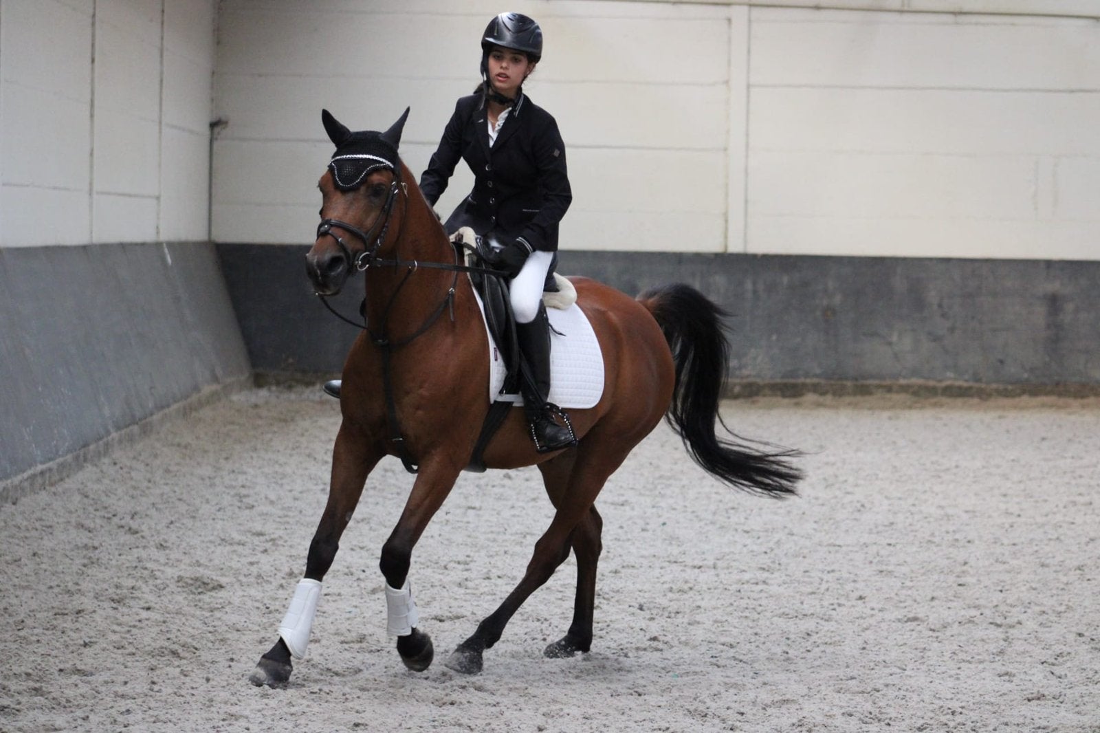 Paard te koop, Animaux & Accessoires, Chevaux