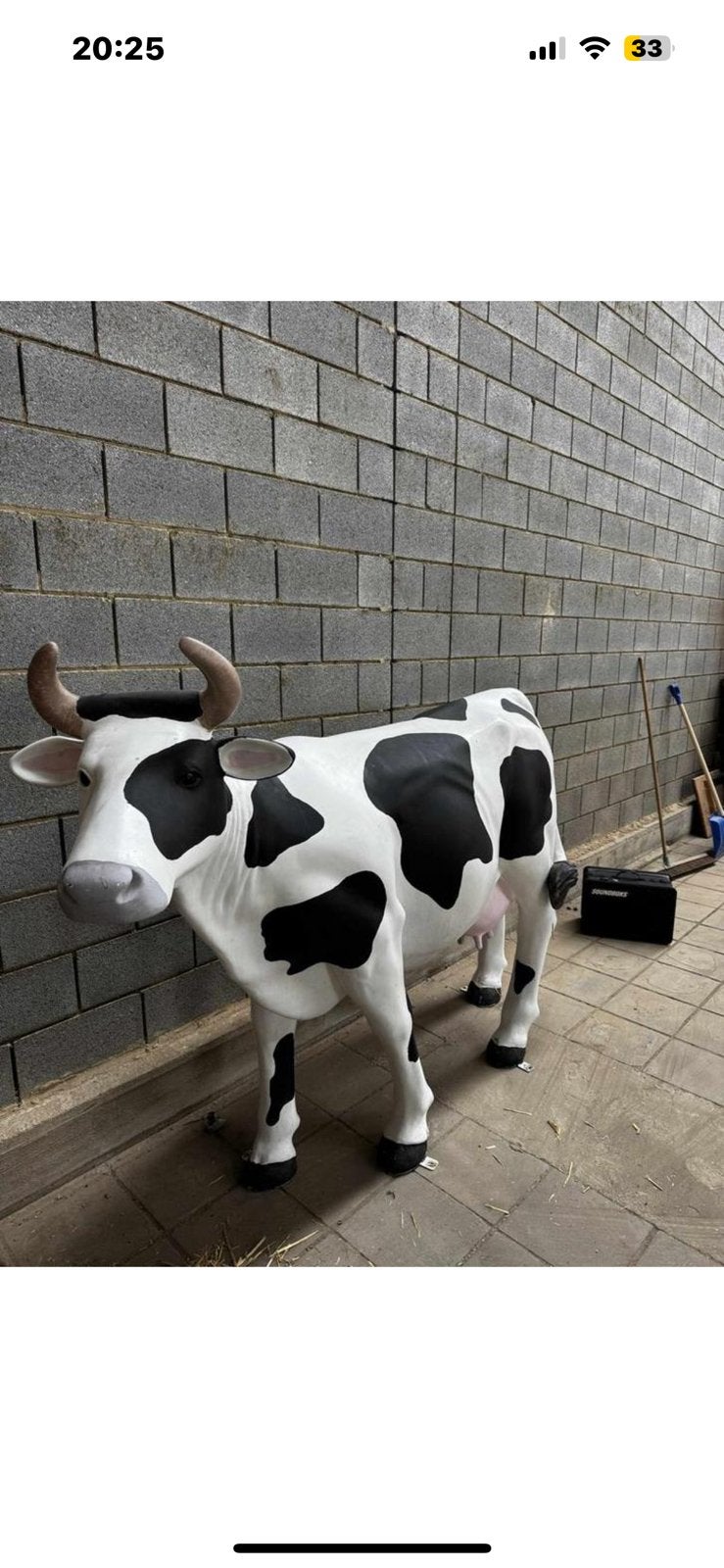 Vache echelle 1/1 résine, Enlèvement, Utilisé