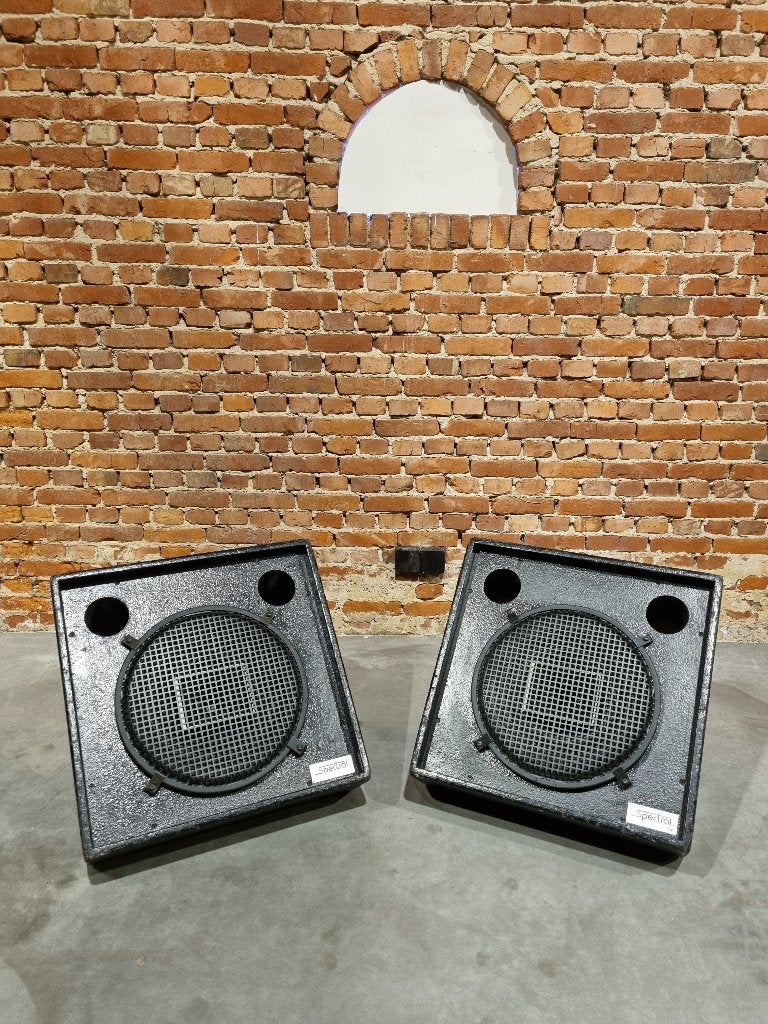 Beyma 15XT vloermonitors in Spectral C15XT kasten, TV, Hi-fi & Vidéo, Autres marques, Bass-reflex, Enlèvement, Utilisé