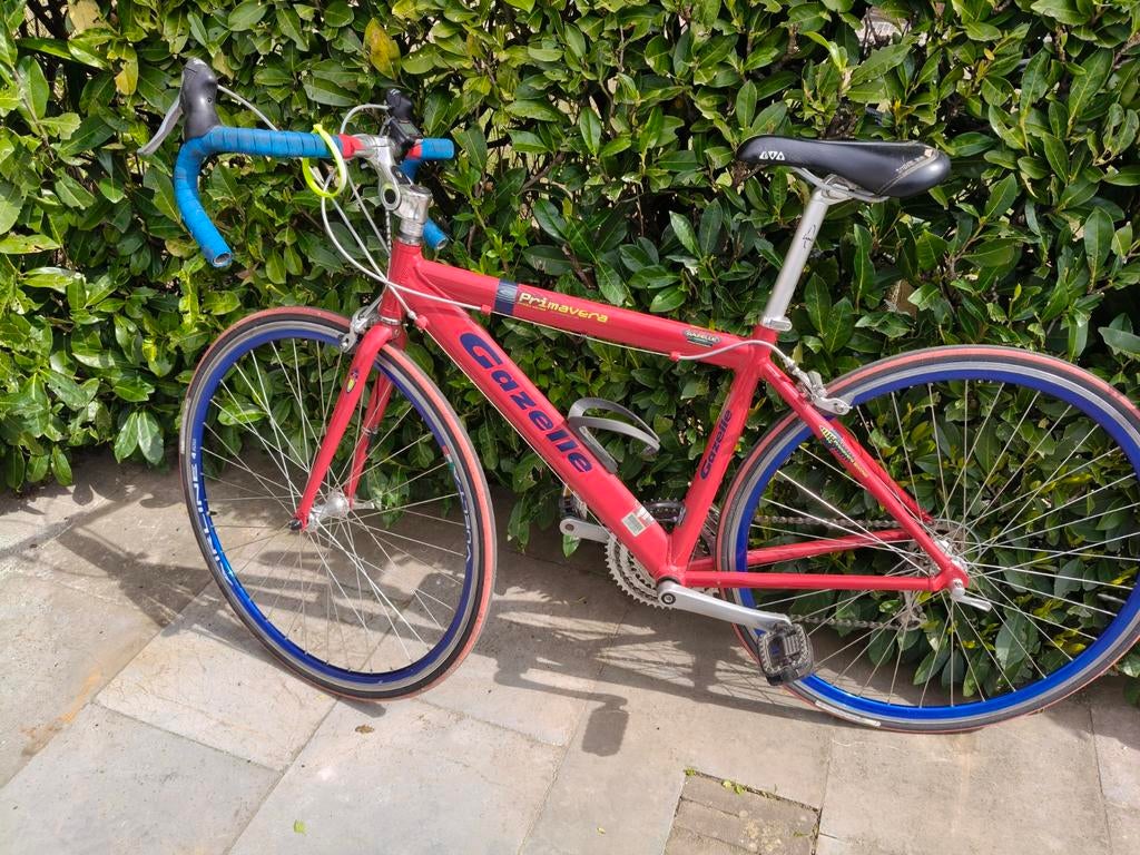 Koersfiets, Fietsen en Brommers, Ophalen, Gazelle