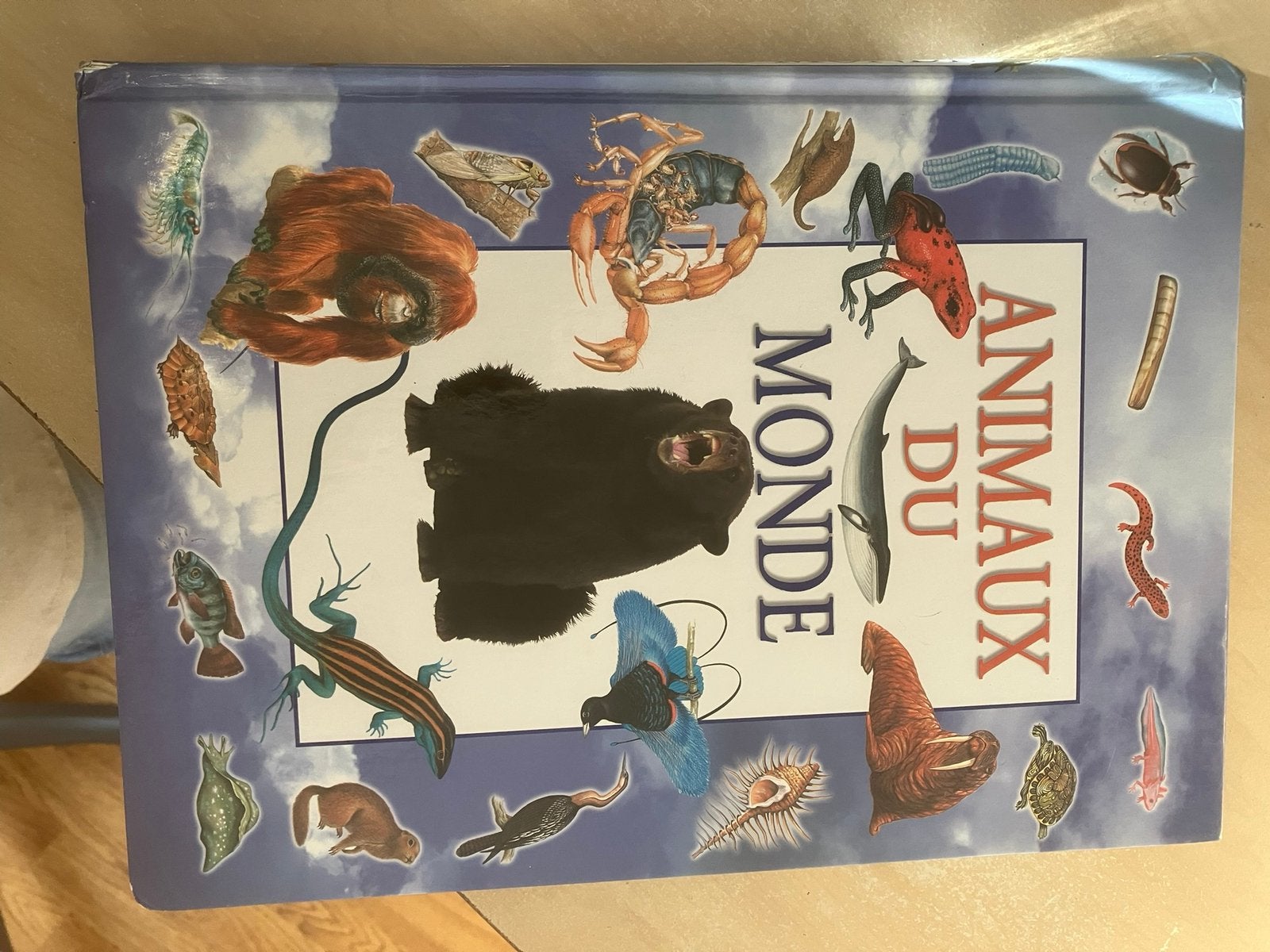 Animaux du monde livre pour enfant, Enlèvement, Utilisé