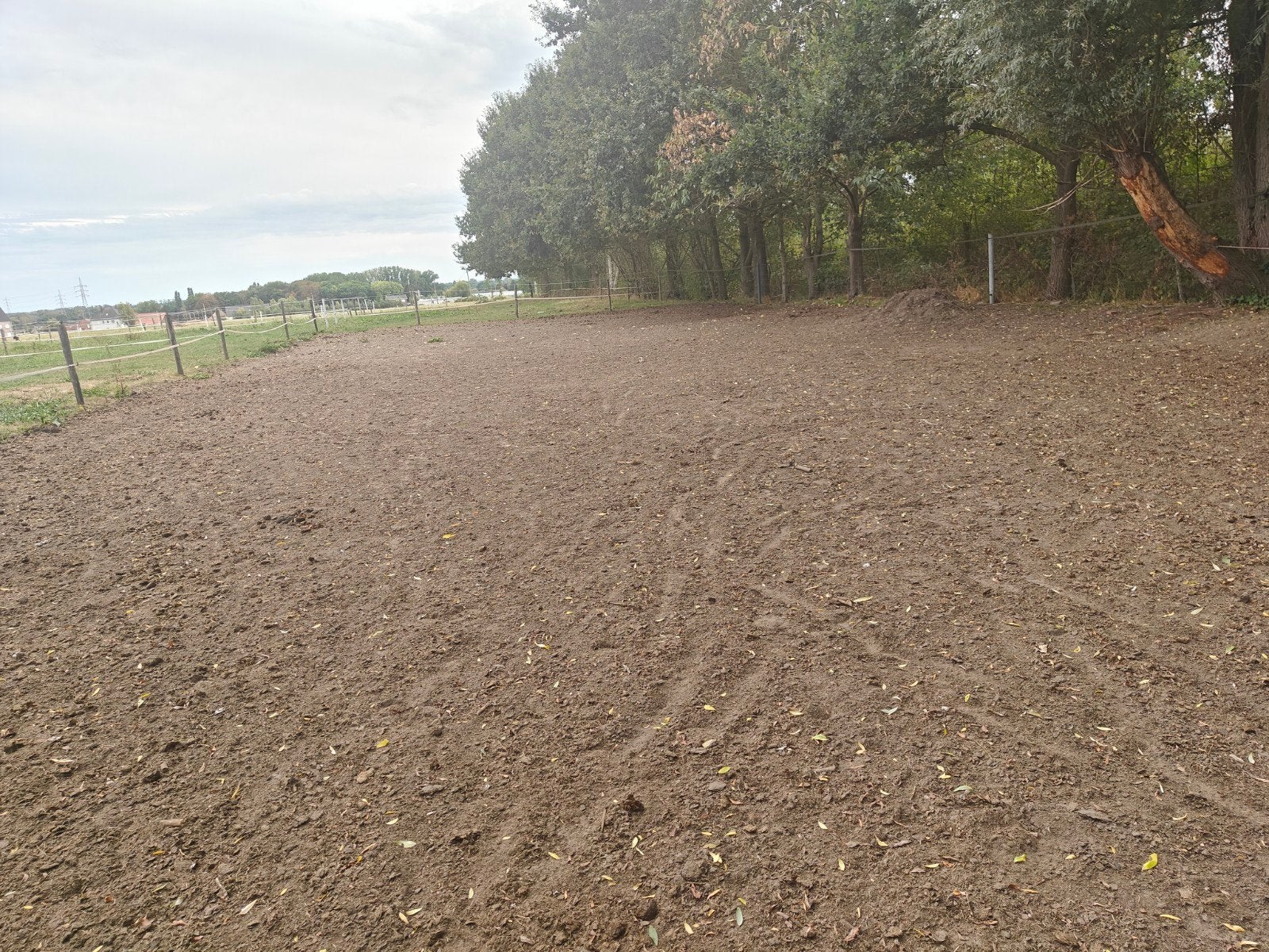 Verschillende formules beschikbaar, Rumst/Kontich, Dieren en Toebehoren, Opfok, 4 paarden of pony's of meer