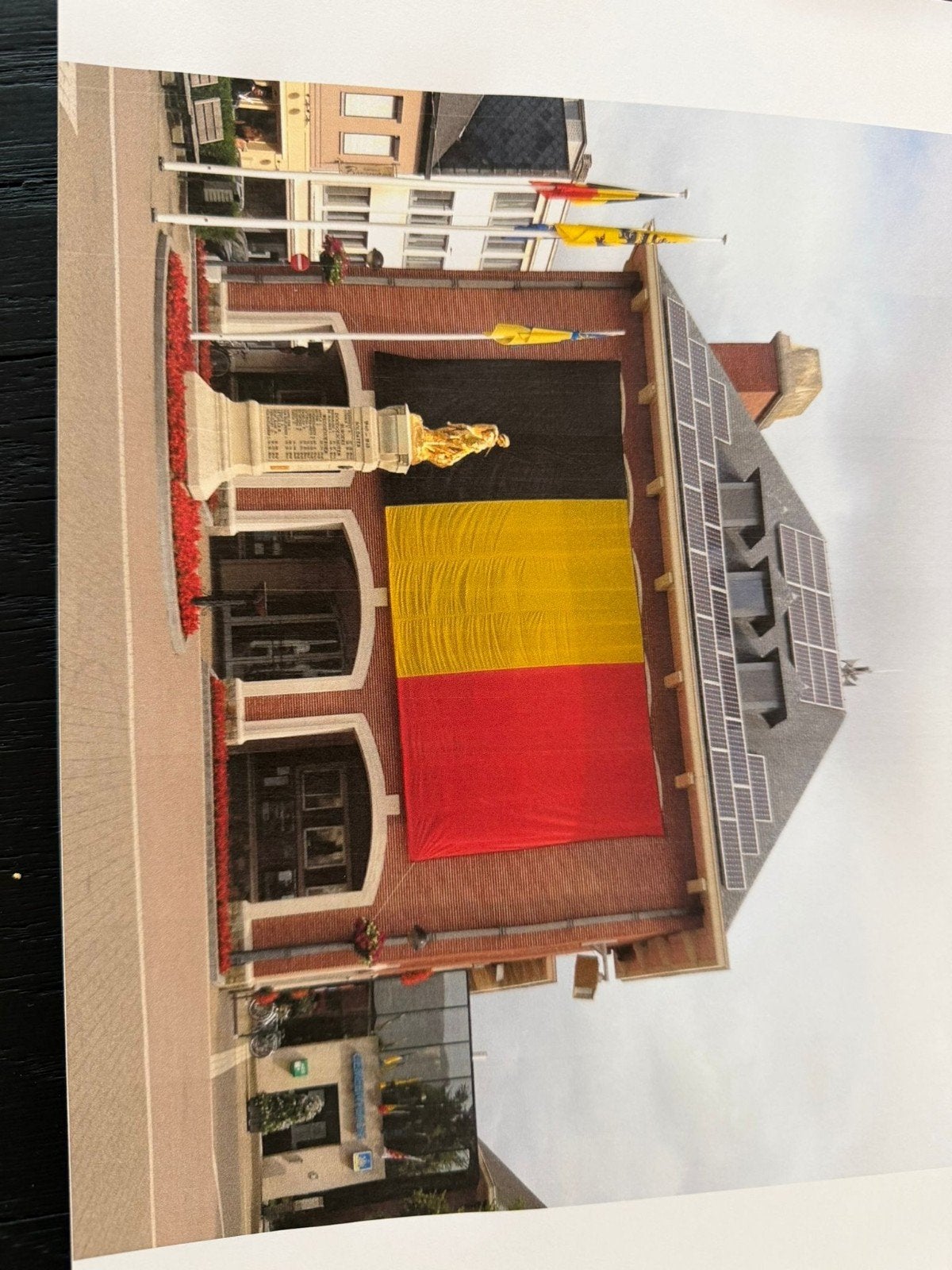 Mega groot vlag van Belgie, Immo
