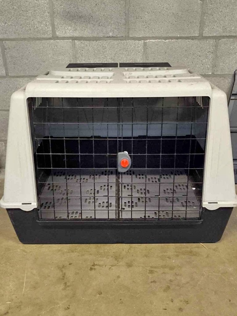 Auto transportbox bench, Dieren en Toebehoren, Ophalen