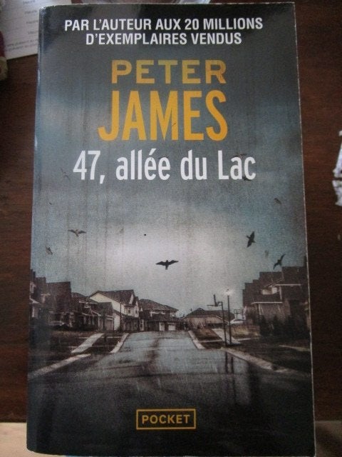 Livre "47, allée du Lac" Peter James (Poche), Ophalen of Verzenden, Gelezen, België
