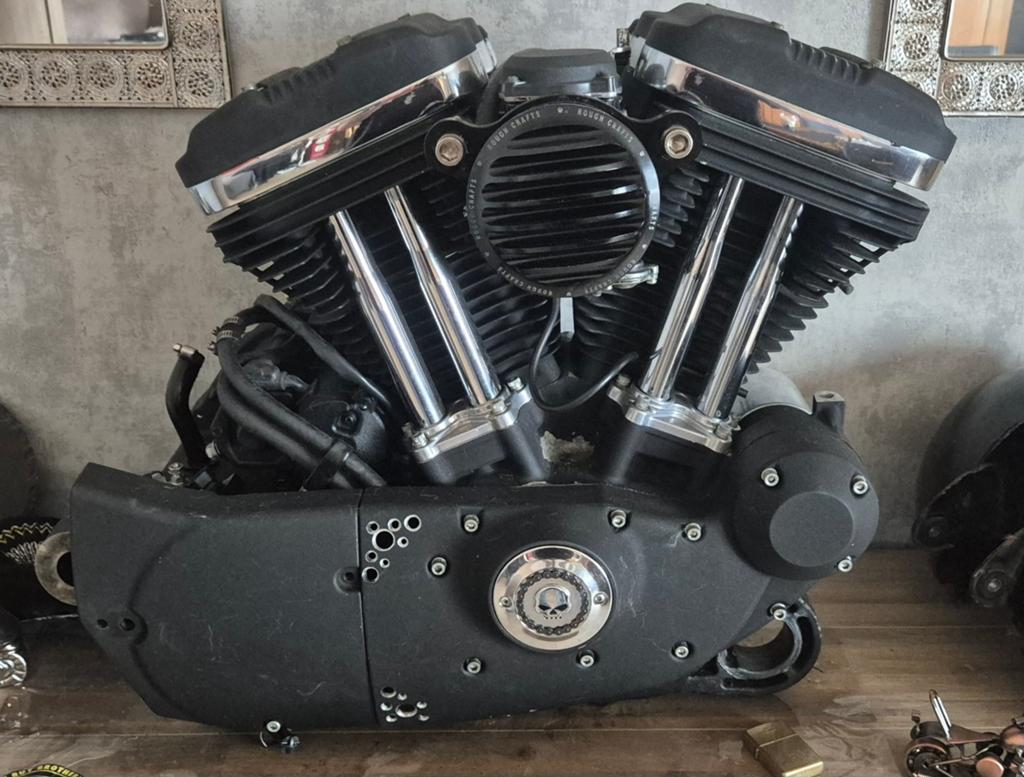 Harley davidson sportster 883 omgebouwd naar 1200 model 2004, Motoren, Ophalen