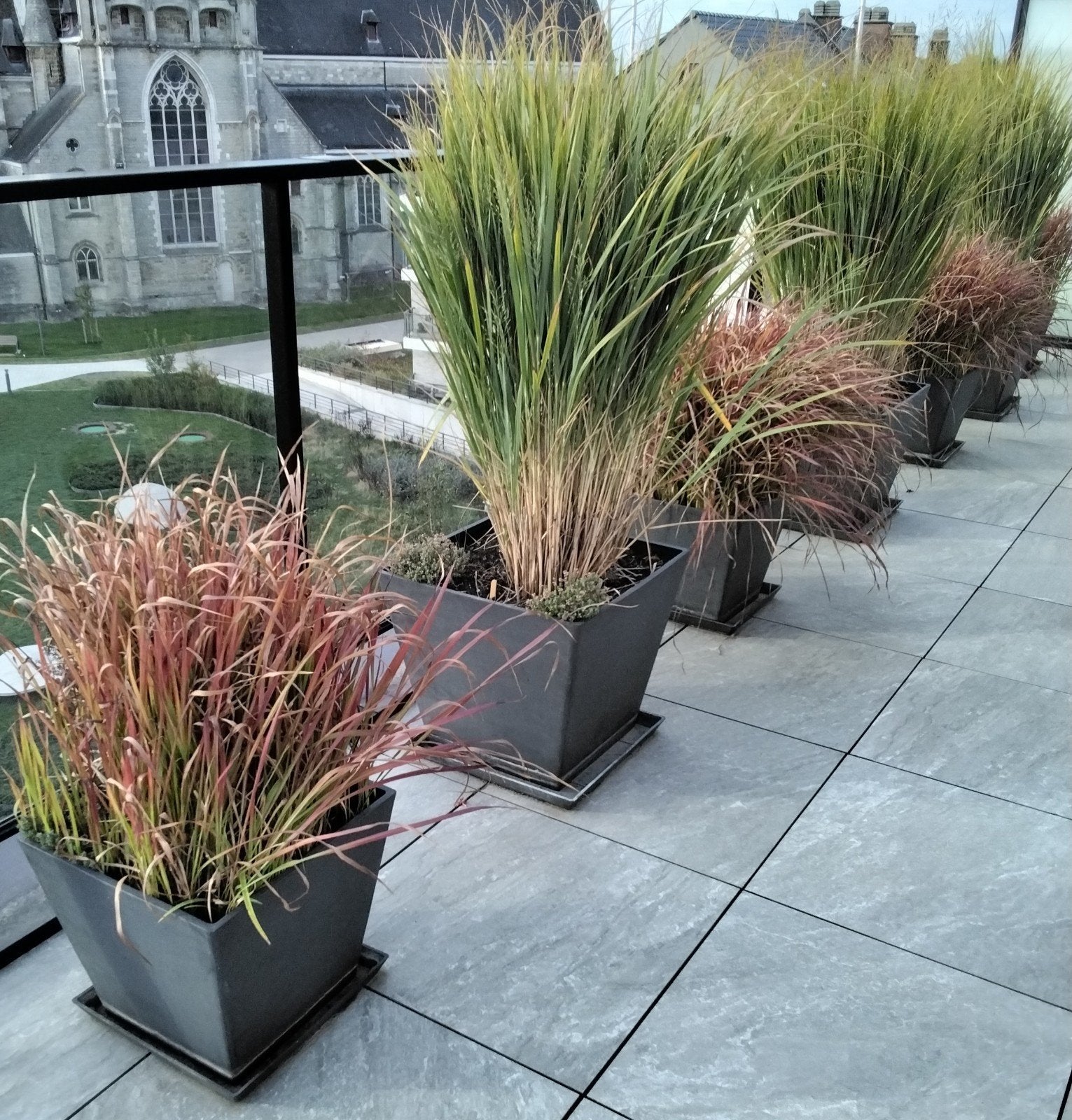 gazon ornemental de 1 mètre de haut 3 buissons pour 10 euros, Jardin & Terrasse, Enlèvement