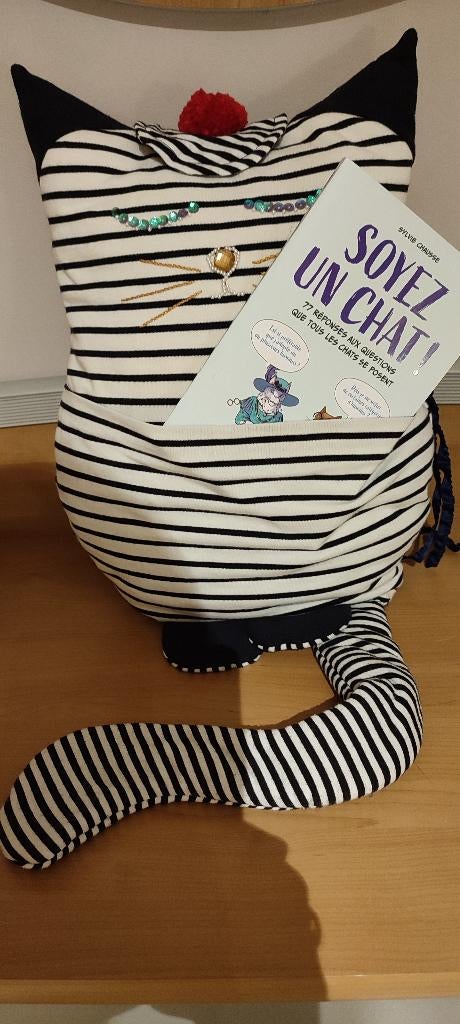 Coussin avec livre" Le chat", Garçon ou Fille, Enlèvement ou Envoi, Comme neuf, Autres types