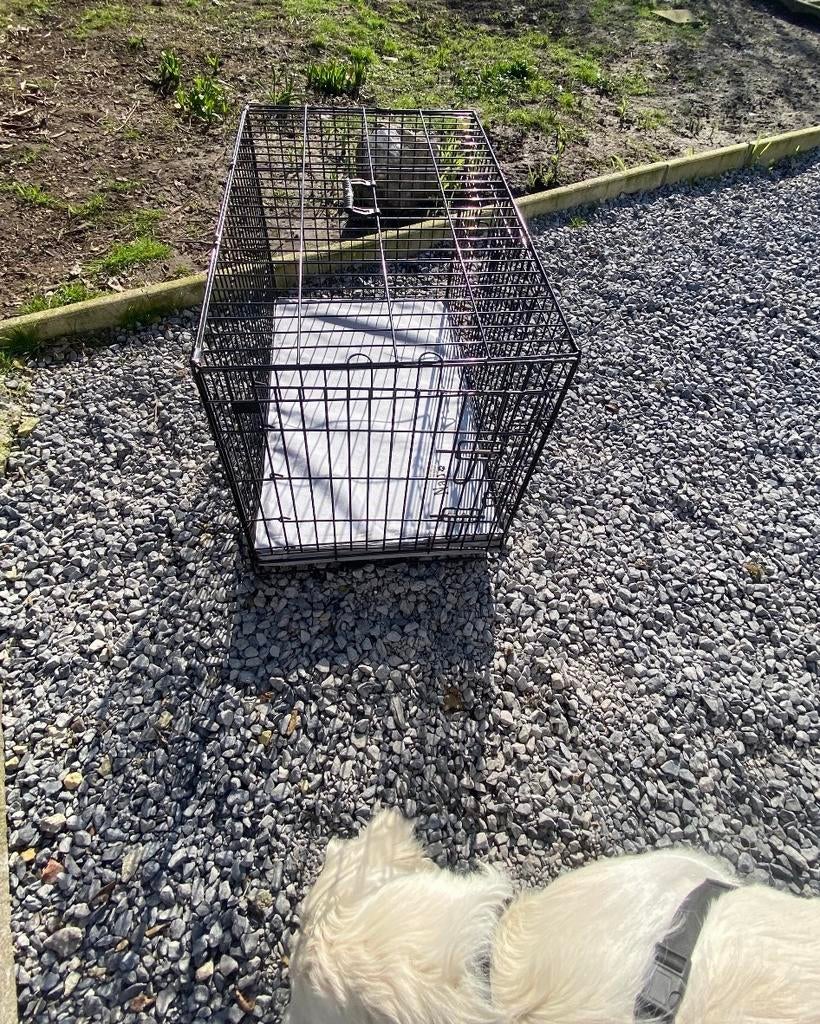 Hok hond, Dieren en Toebehoren, Hondenhokken, Ophalen, Minder dan 65 cm, Hondenhok, Zo goed als nieuw