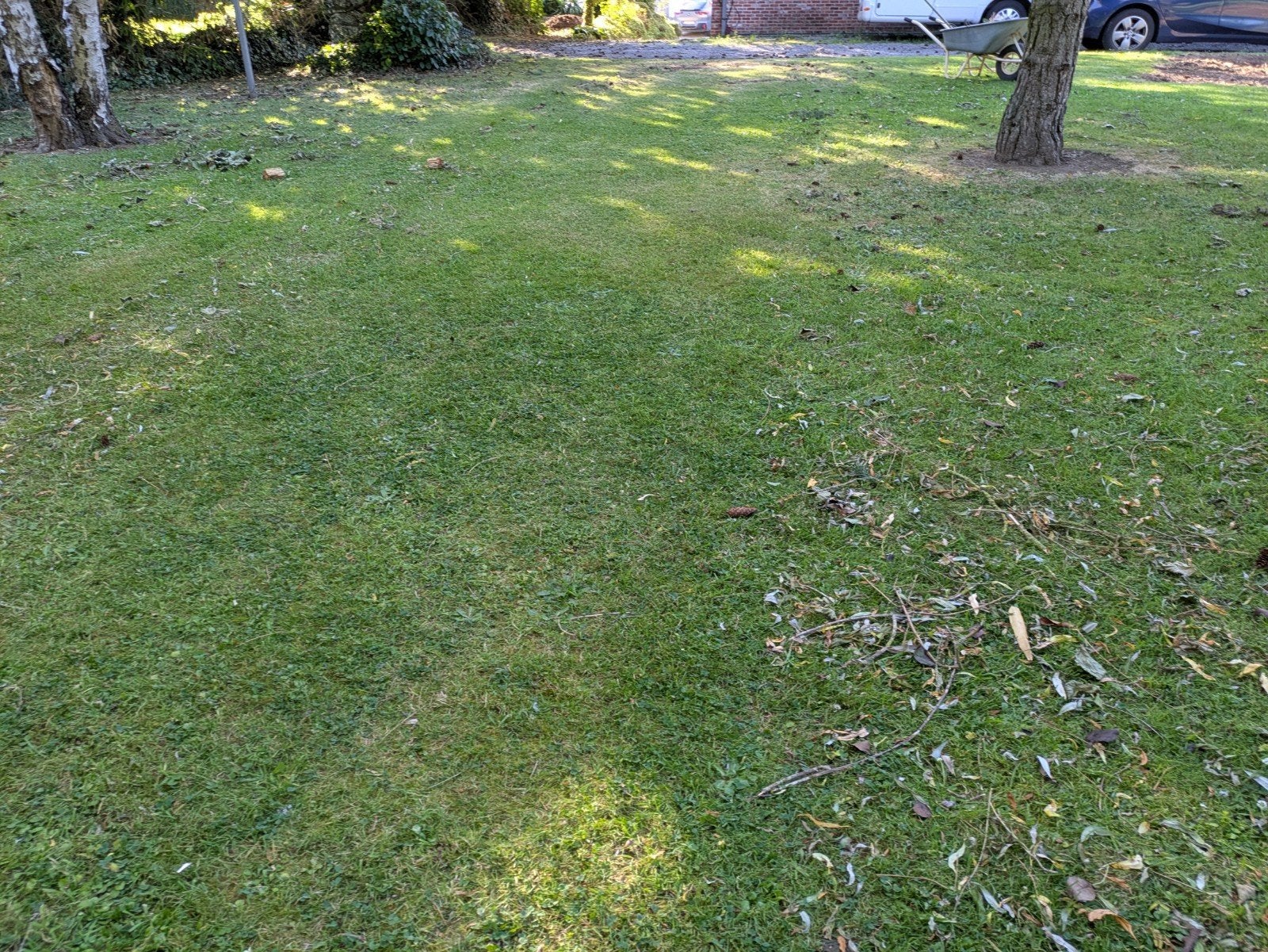 Terre à donner gratuit chargé, Jardin & Terrasse, Terre & Fumier
