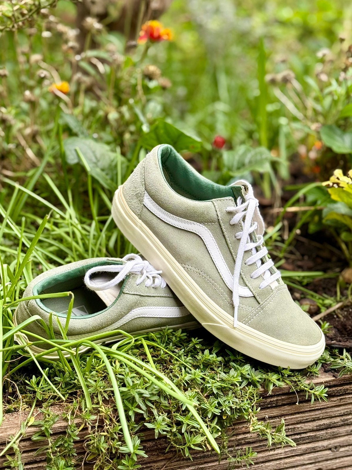 Vans 38 — Sneakers classiques vert clair, Vêtements | Femmes, Enlèvement ou Envoi, Sneakers et Baskets, Comme neuf, Vert