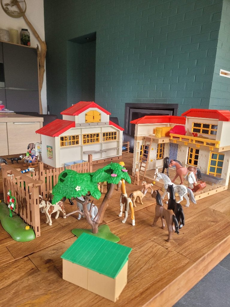 2 maneges van Playmobil, Kinderen en Baby's, Speelgoed | Playmobil, Ophalen, Gebouw, Complete set, Zo goed als nieuw