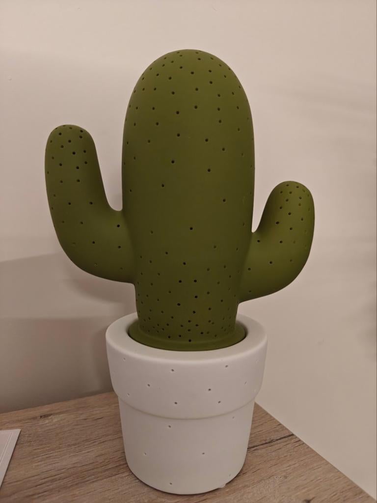 Tafellamp cactus, Ophalen, Cactus
