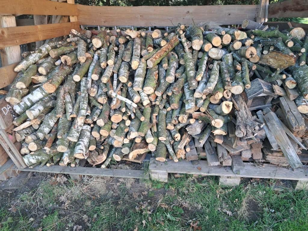 brandhout berk/den / wilg, 3 tot 6 m³, Ophalen, Berkenhout, Blokken