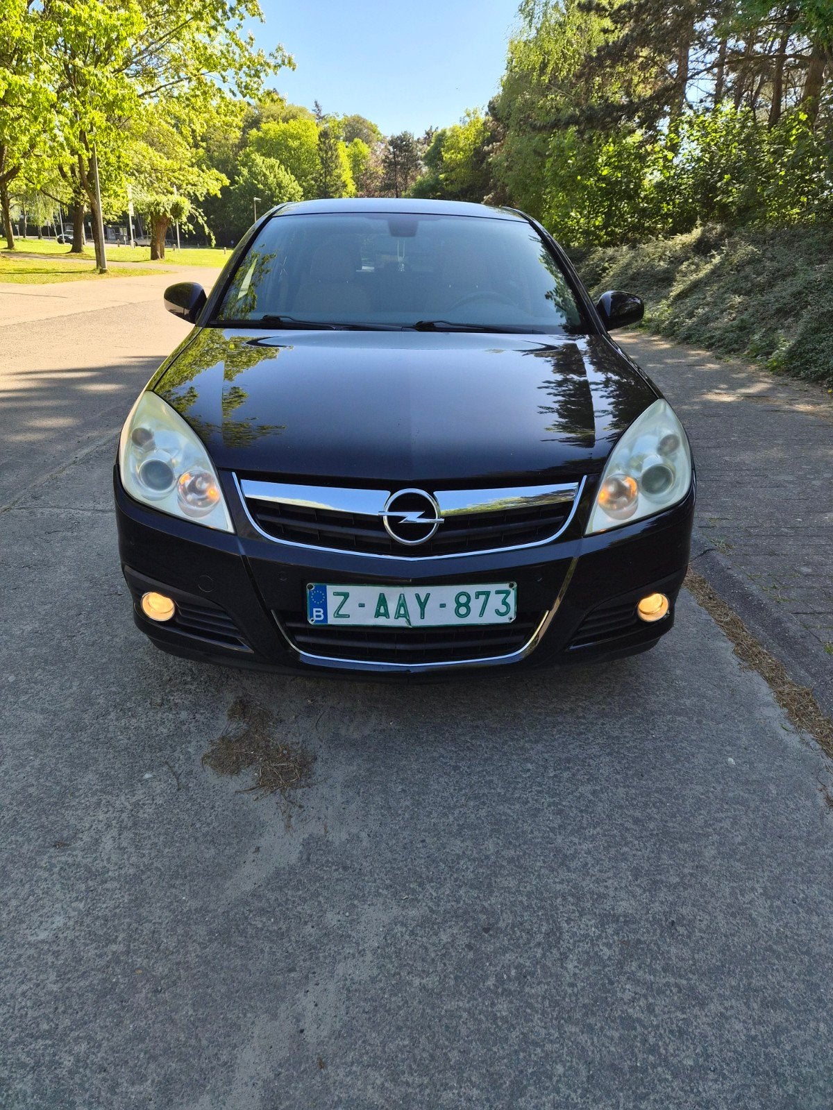 Opel Signum 1.9CDTI AUTOMAAT FULL OPTIES, Auto's, Automaat, Bedrijf, 5 deurs, Euro 4