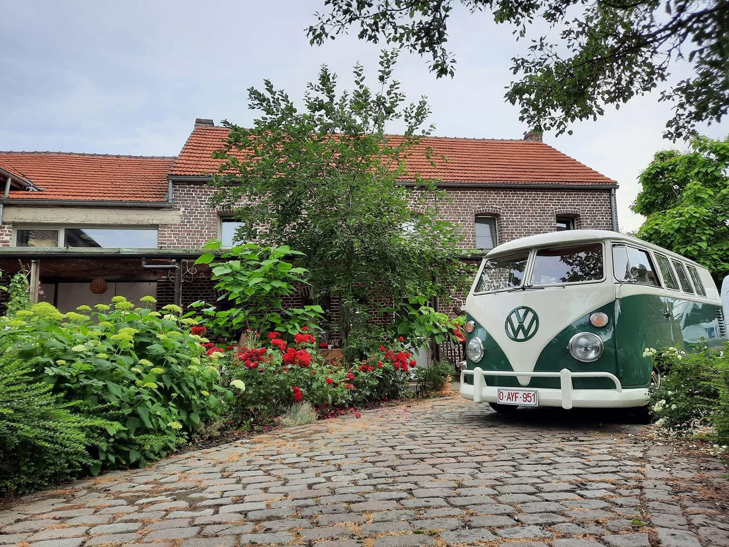 Volkswagen T1 1965 11 raams camper, Achat, Boîte manuelle, Autre carrosserie, Particulier