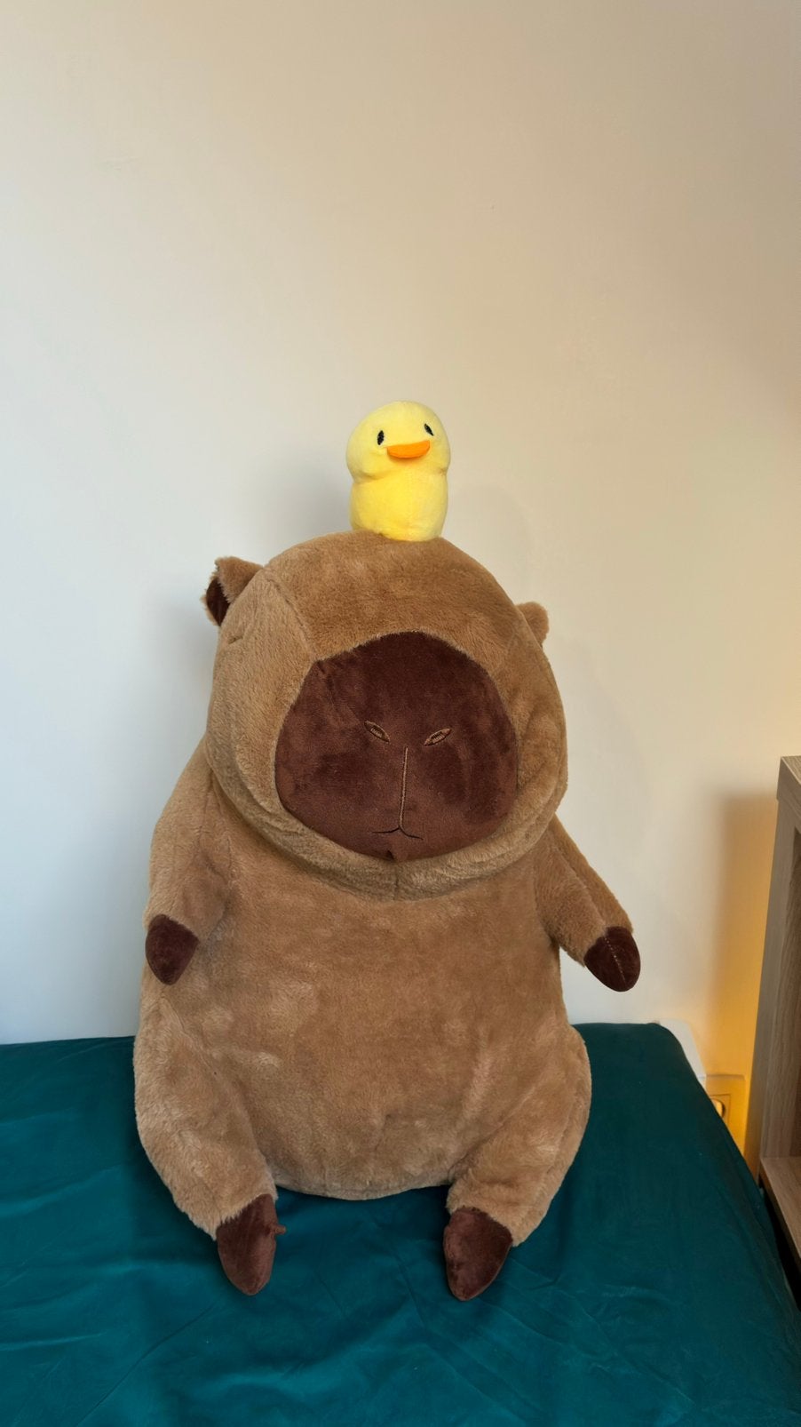 Grote capibara knuffel met eendje, Kinderen en Baby's, Overige karakters, Nieuw, Ophalen of Verzenden, Middelgroot (20 tot 80 cm)
