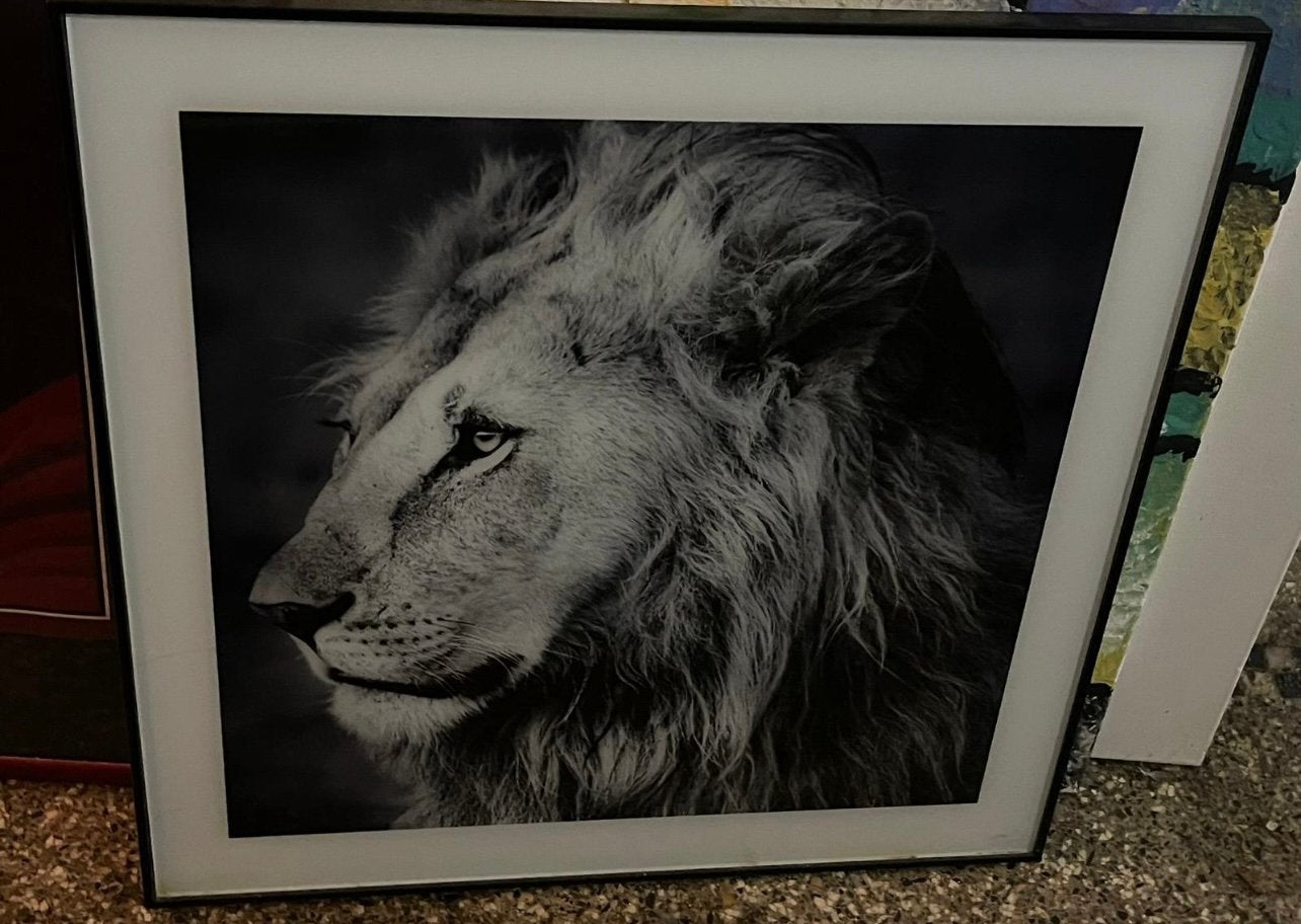 Tableau lion, Antiquités & Art, Art | Dessins & Photographie, Enlèvement ou Envoi, Tableau