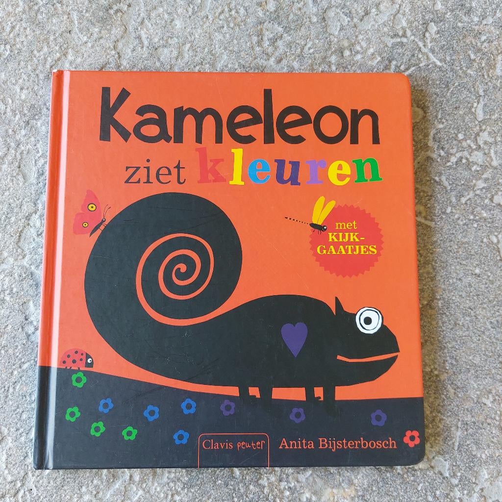 kinderboek Kameleon ziet kleuren met kjkgaatjes, Enlèvement