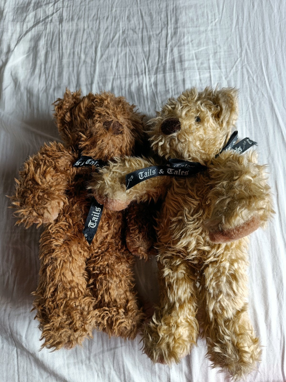 teddyberen tails and tales, Ophalen