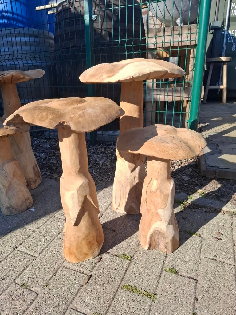 Teak houten paddestoelen set! Super decoratief! Grote maat!, Ophalen
