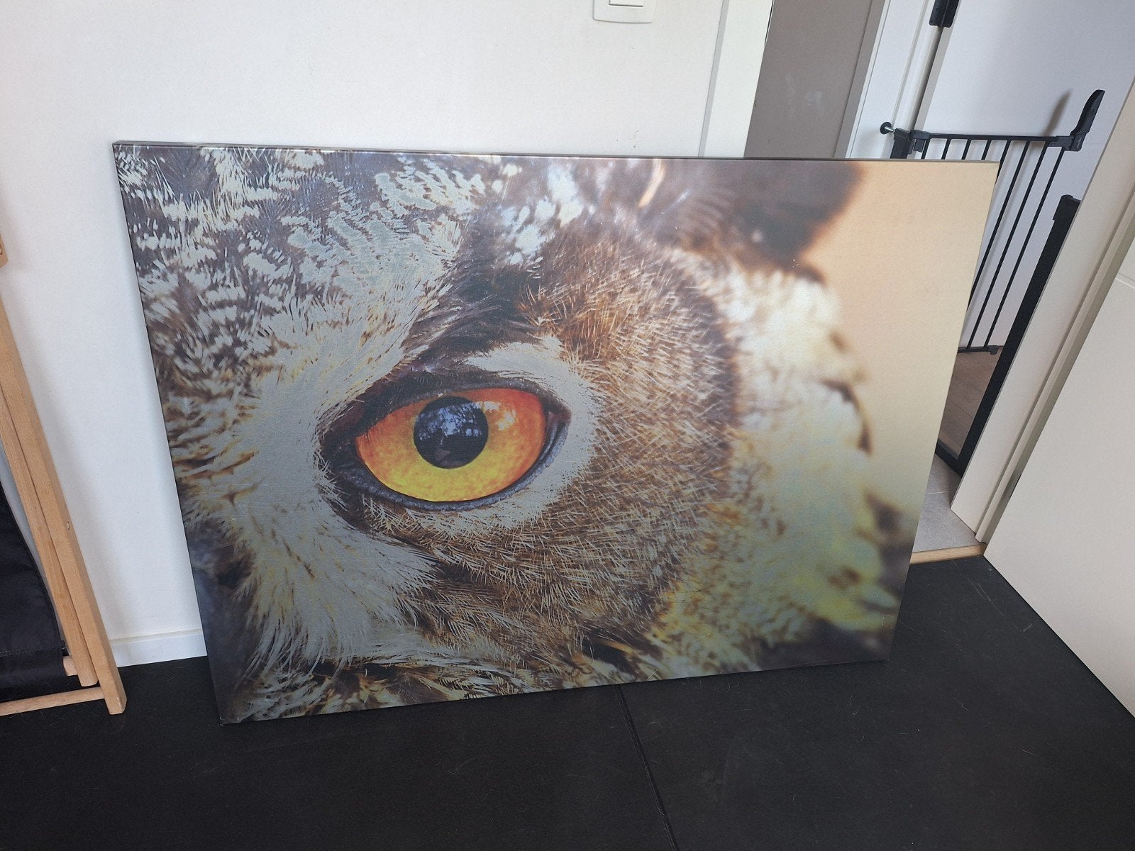 Uil schilderij metaal, Ophalen